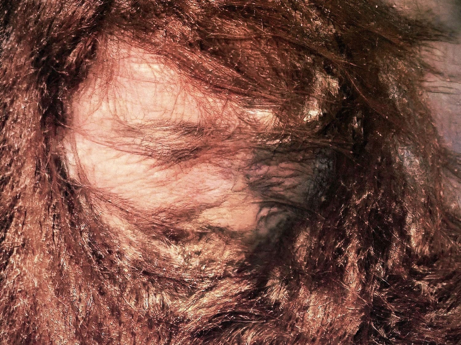 A computer generated image of  deformed face of a person with red hair