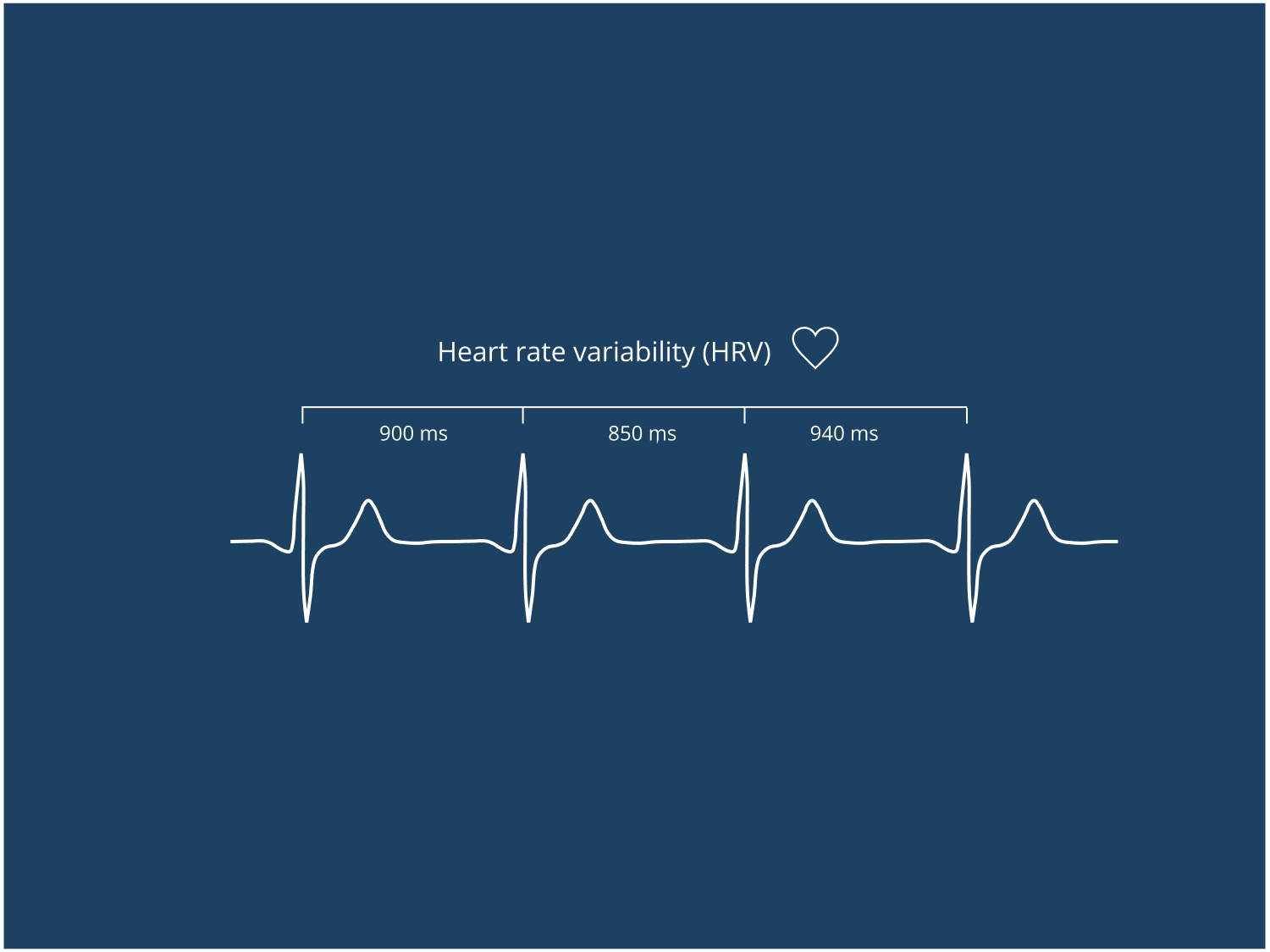 A dark blue and white graph depicting heart rate variance.